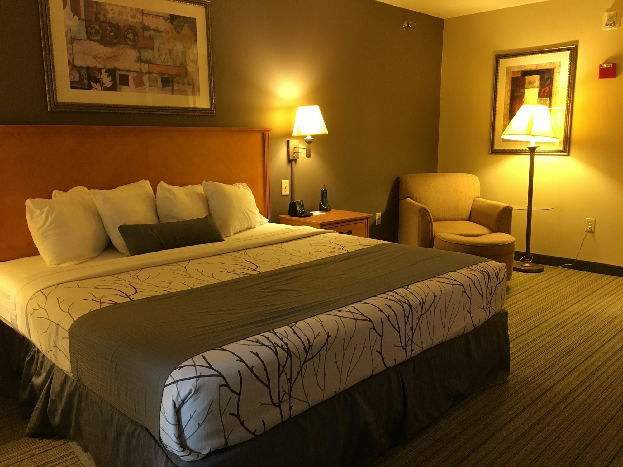 Hotel Wingate By Wyndham Coon Rapids Zewnętrze zdjęcie